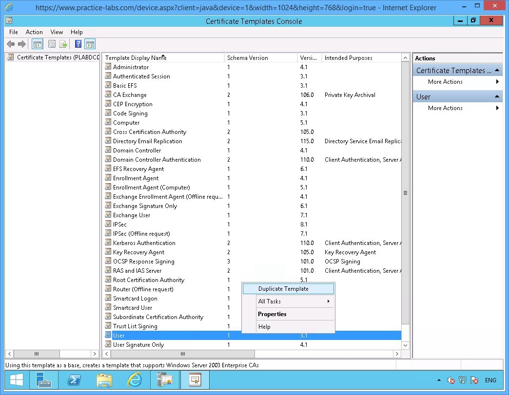 Practice Labs screenshot.